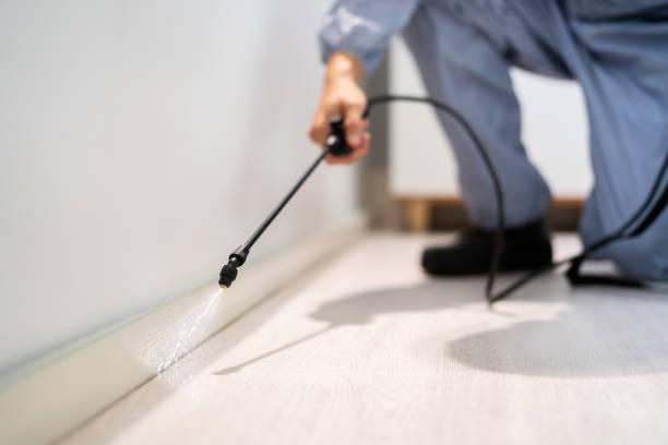 Licensed Pest Control service in Woodway, TX - Show Me Pest Control