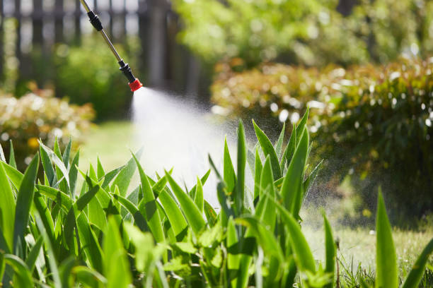 24/7 Emergency Mosquito Control experts in Woodway, TX