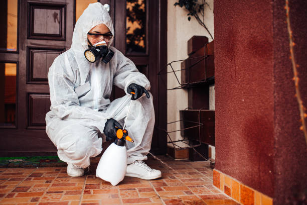Reliable Mosquito Control contractor in Woodway, TX by Show Me Pest Control