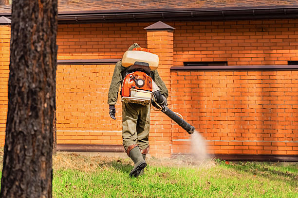 Top rated local Mosquito Control specialists in Woodway, TX